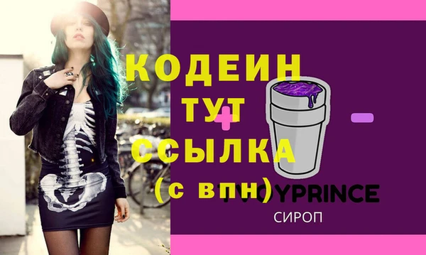 амф Пестово