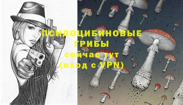 амф Пестово