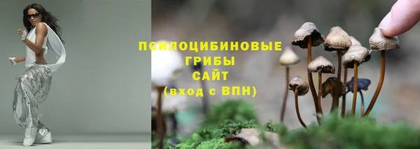 не бодяженный Осинники