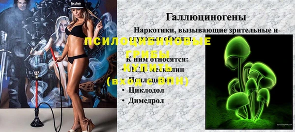 амф Пестово