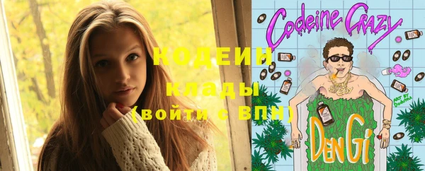 амф Пестово